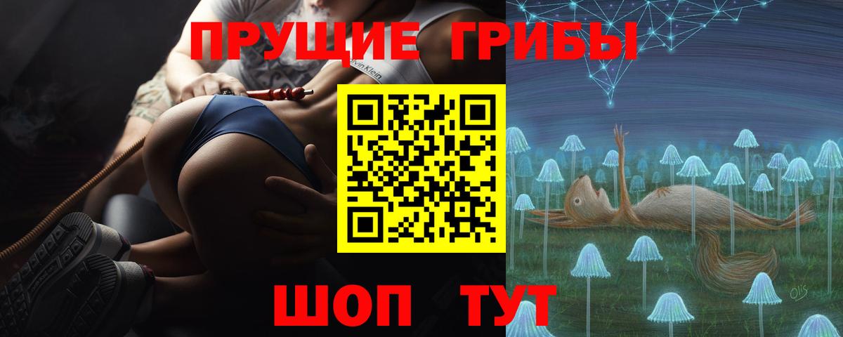 Галлюциногенные грибы Magic Shrooms  Вход с VPN  Кисловодск  Галлюциногенные грибы Psilocybine cubensis 